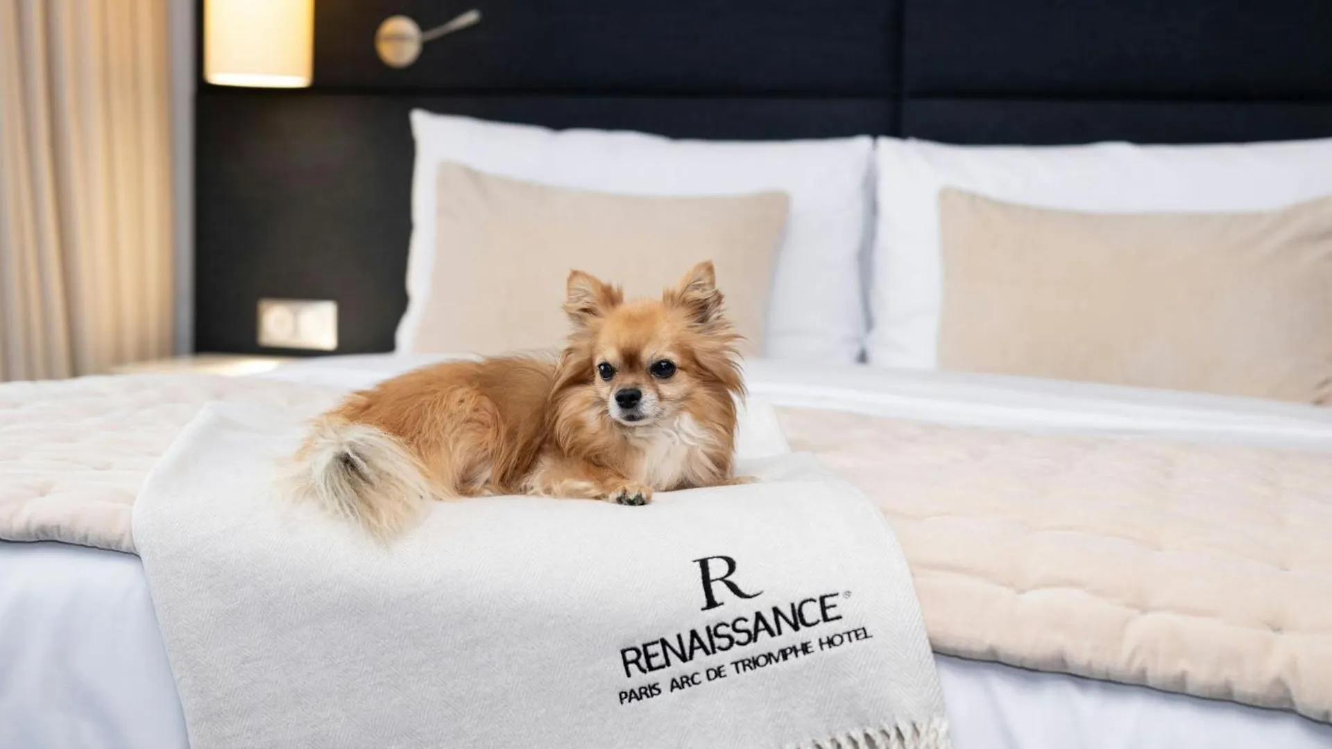 Renaissance Paris Arc de Triomphe Hotel